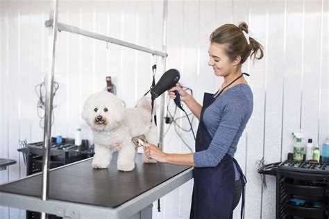 Dog salon - Groomingdales Pet Salon, Peoria, Illinois. 714 likes · 13 talking about this · 353 were here. I have been a groomer for over 30 years and I love what I do. I take pride in my work